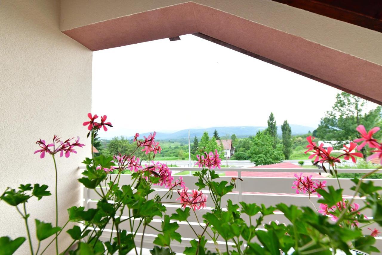House Bela Vido Hotel Dreznik Grad Bagian luar foto