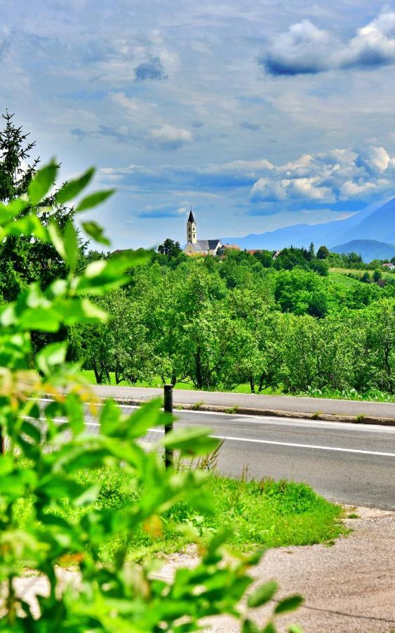 House Bela Vido Hotel Dreznik Grad Bagian luar foto