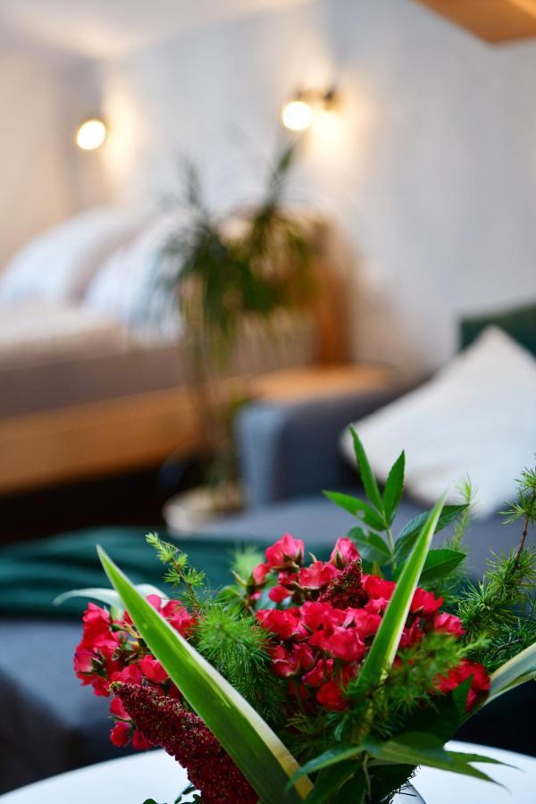 House Bela Vido Hotel Dreznik Grad Bagian luar foto
