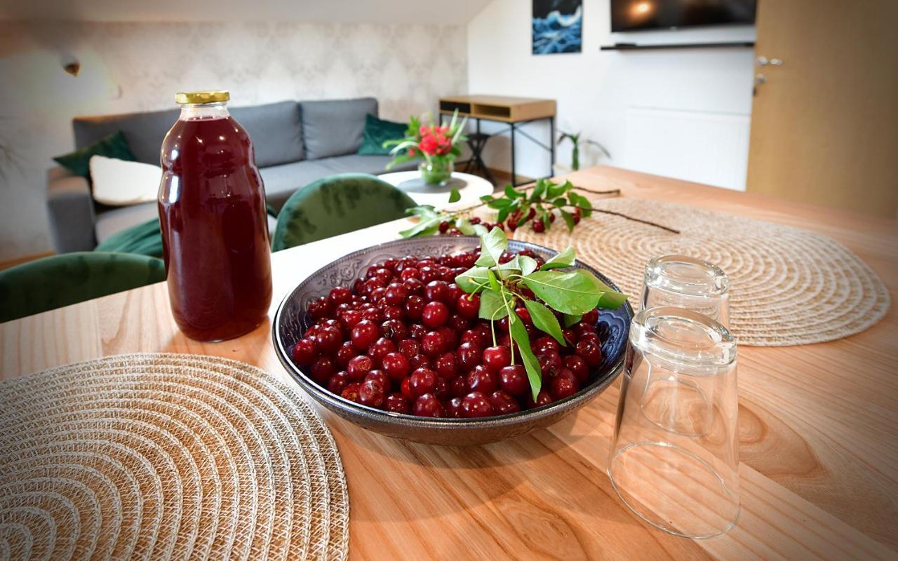 House Bela Vido Hotel Dreznik Grad Bagian luar foto